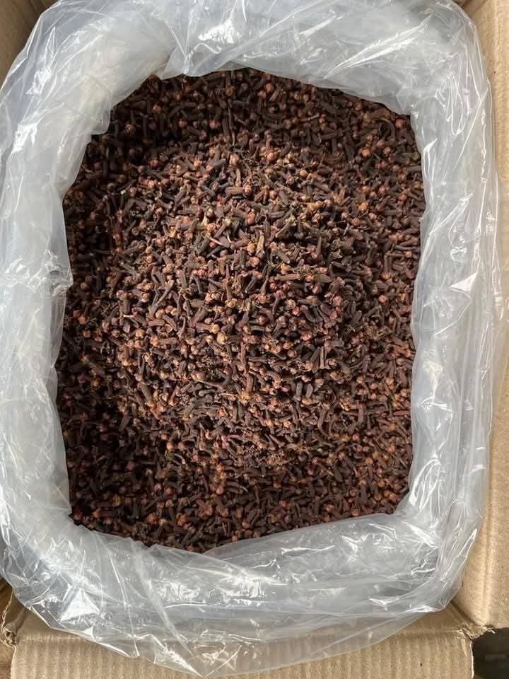 Premium Nigerian Cloves for export by AKAJUMA ORGANIC FOODS LIMITED