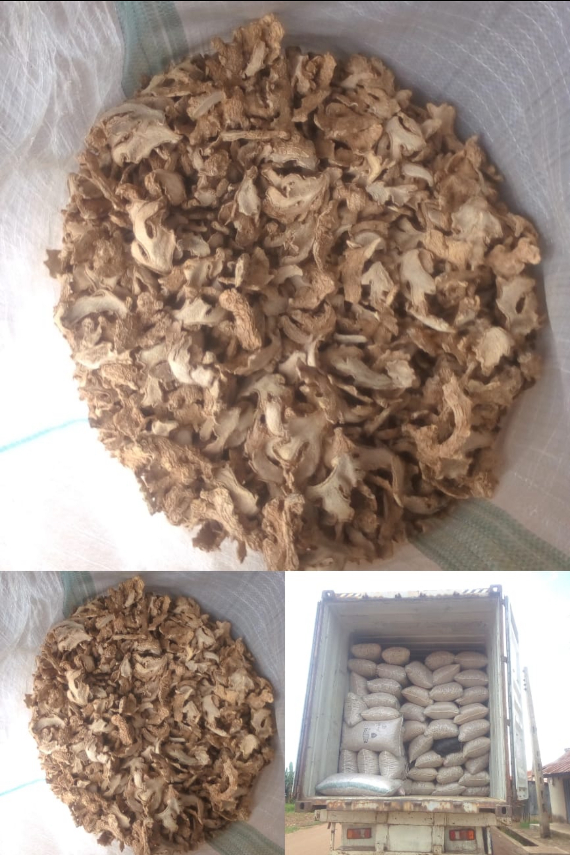 Bulk dried split ginger in sacks and loaded truck container