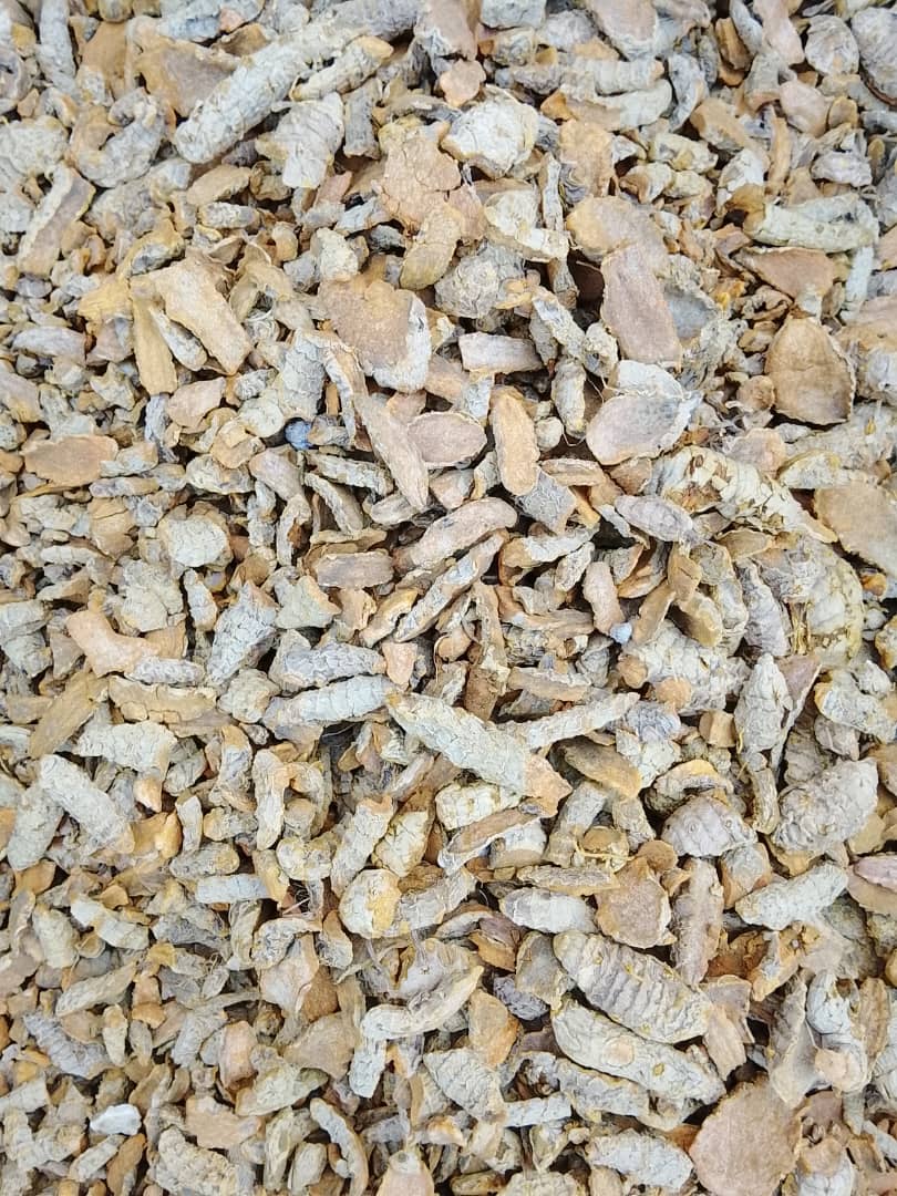 Close-up of cleaned dried split agricultural produce