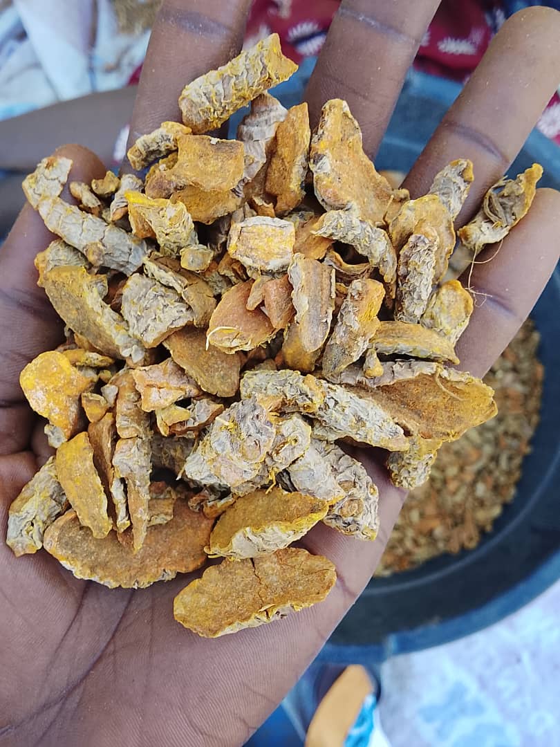 Handful of sun-dried split agricultural produce