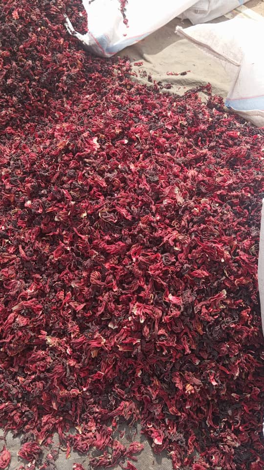 Hibiscus Flower — bulk agricultural export from Nigeria Premium Nigerian Hibiscus Flower for export