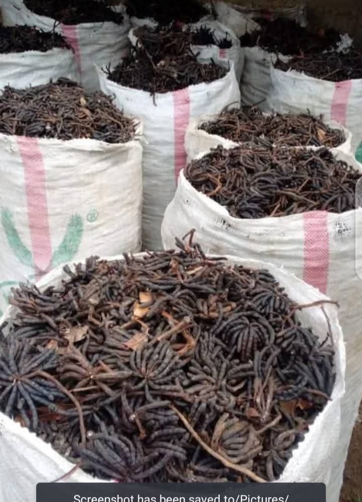 Premium Nigerian Negro Pepper for export by AKAJUMA ORGANIC FOODS LIMITED