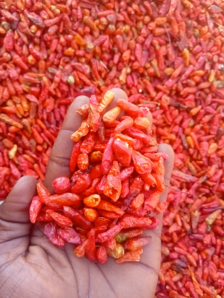 Pepper — bulk agricultural export from Nigeria Premium Nigerian Pepper for export